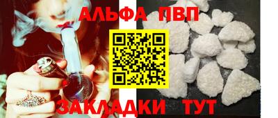 твердый Кингисепп