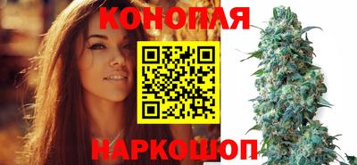 индика Кинель