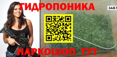 индика Кинель
