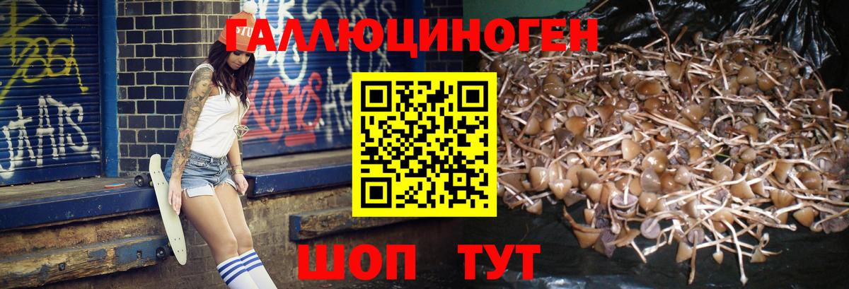 Чайковский  Галлюциногенные грибы GOLDEN TEACHER  Галлюциногенные грибы Magic Shrooms  Вход с VPN 